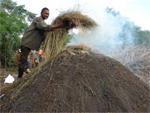 Avileños aumentan la exportación de carbón vegetal